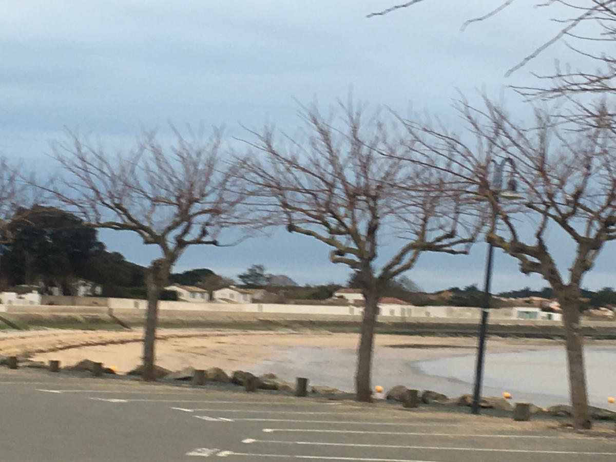 La Petite Maison Sur L'Ile De Re La Flotte Exterior foto
